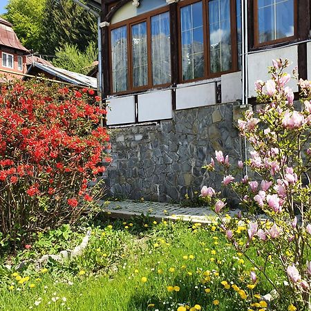 Vila Bradet Buşteni Extérieur photo
