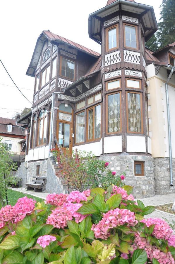 Vila Bradet Buşteni Extérieur photo