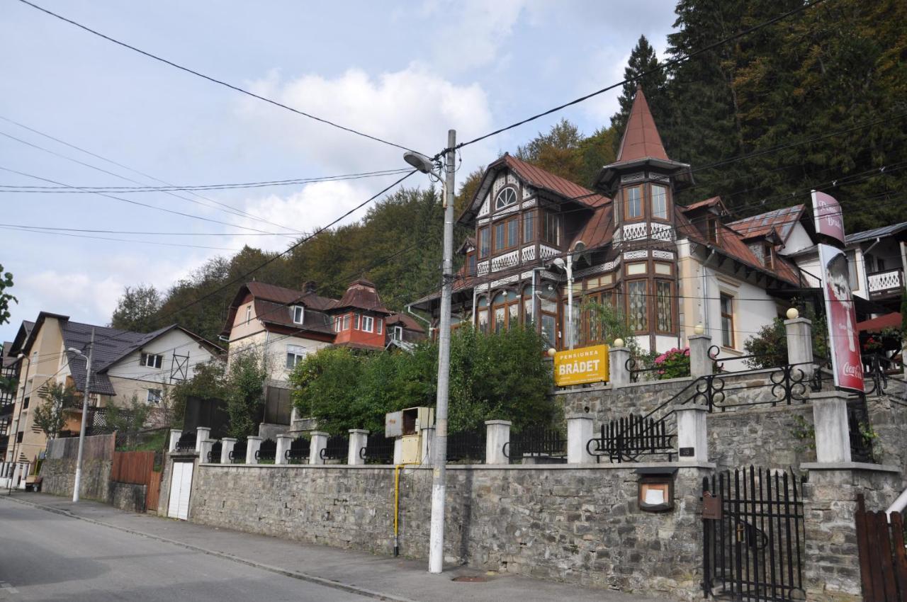 Vila Bradet Buşteni Extérieur photo