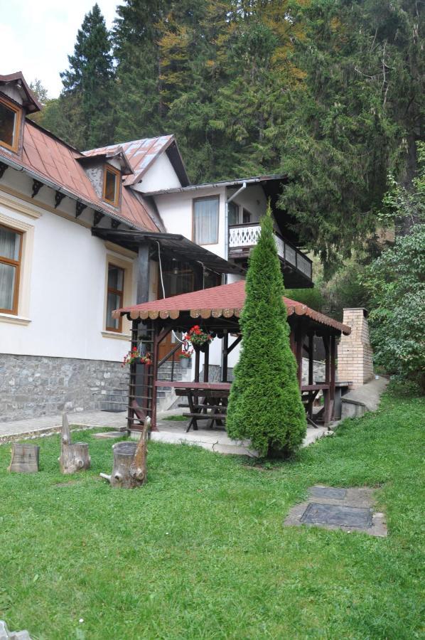 Vila Bradet Buşteni Extérieur photo