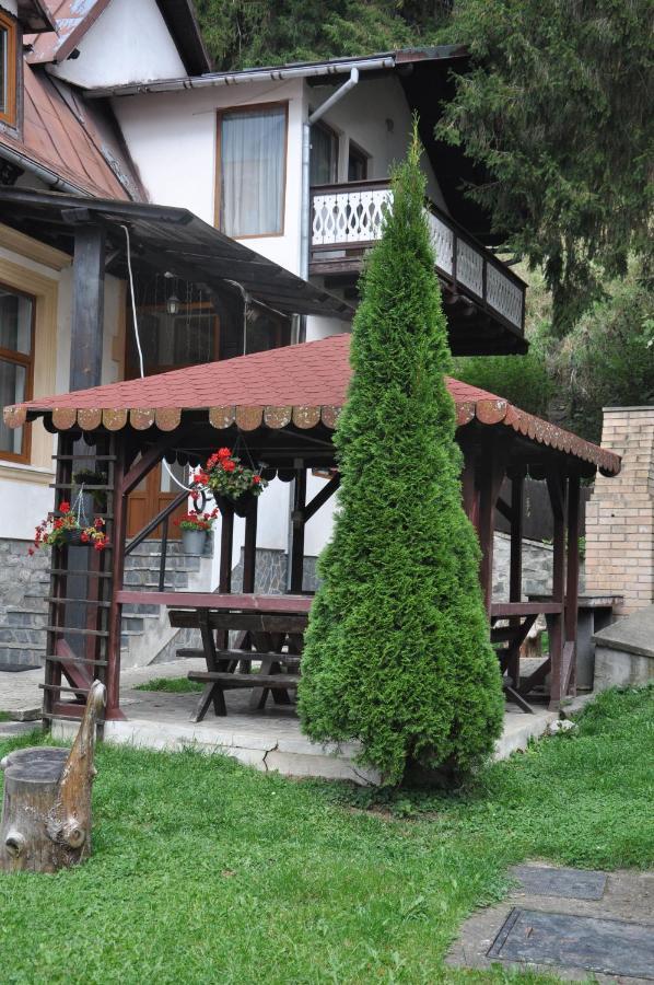 Vila Bradet Buşteni Extérieur photo