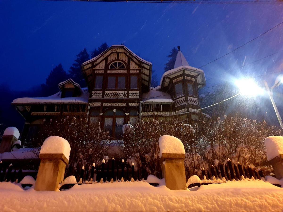 Vila Bradet Buşteni Extérieur photo
