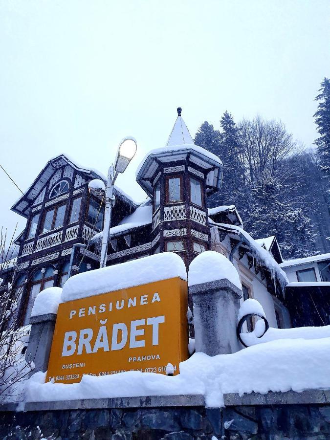Vila Bradet Buşteni Extérieur photo