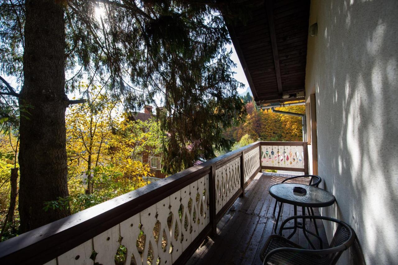 Vila Bradet Buşteni Extérieur photo
