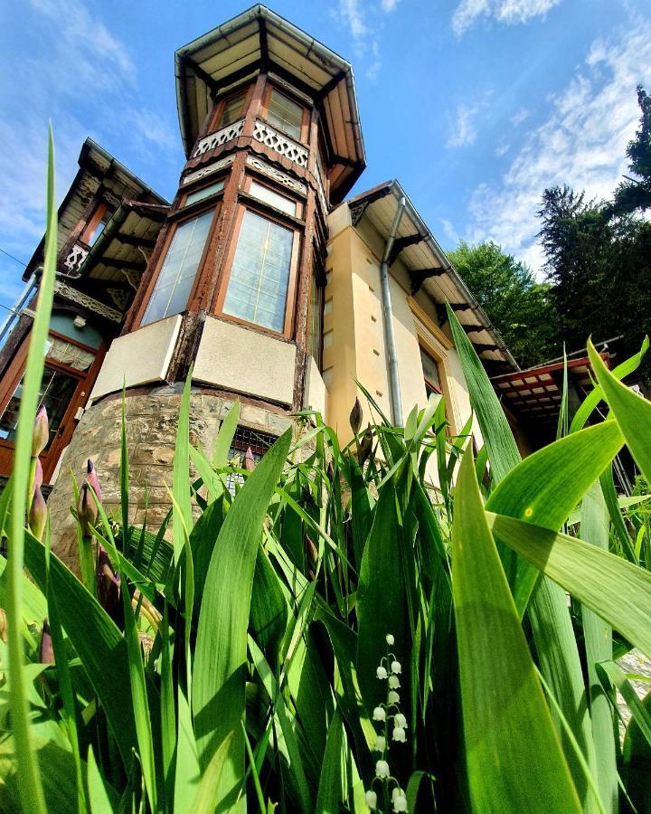 Vila Bradet Buşteni Extérieur photo