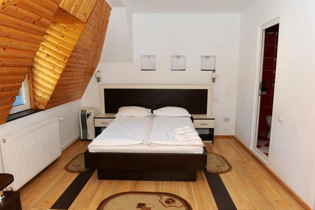 Vila Bradet Buşteni Extérieur photo
