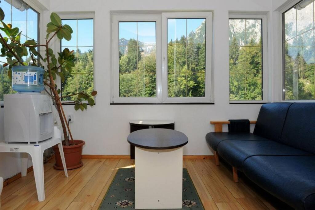 Vila Bradet Buşteni Extérieur photo