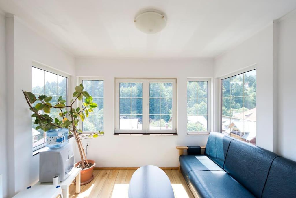 Vila Bradet Buşteni Extérieur photo